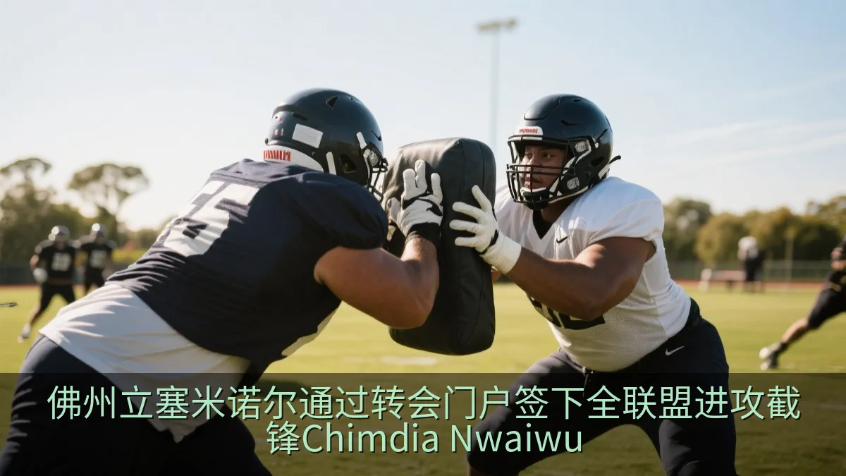 佛州立塞米诺尔通过转会门户签下全联盟进攻截锋Chimdia Nwaiwu